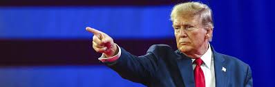 What a new Trump term could mean for solar energy in the U.S.
